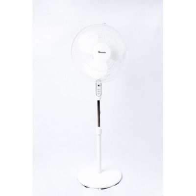 Ramtons RM/563 Fan + Remote