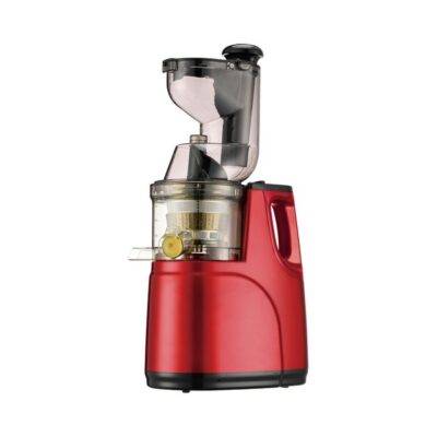 Rebune RE-2-079 Slow Juicer